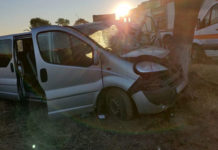 Accident cu cinci răniți: un microbuz a izbit un copac