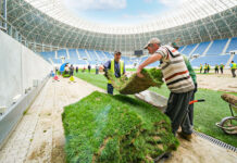 Gazonul de 600.000 euro de pe stadionul din Craiova, mutat într-un parc din municipiu din cauza unui festival