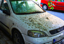 Noi mașini abandonate ridicate de pe străzile din Craiova