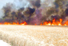 Incendiu extins de vegetație uscată la Maglavit, Dolj: peste 70 de hectare afectate
