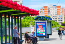 Fructe pentru umbră: Stațiile de autobuz din Craiova primesc ornamente inedite