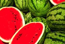 Secretele pepenelui de Dăbuleni: cum transformă nisipul și soarele un fruct într-un brand național